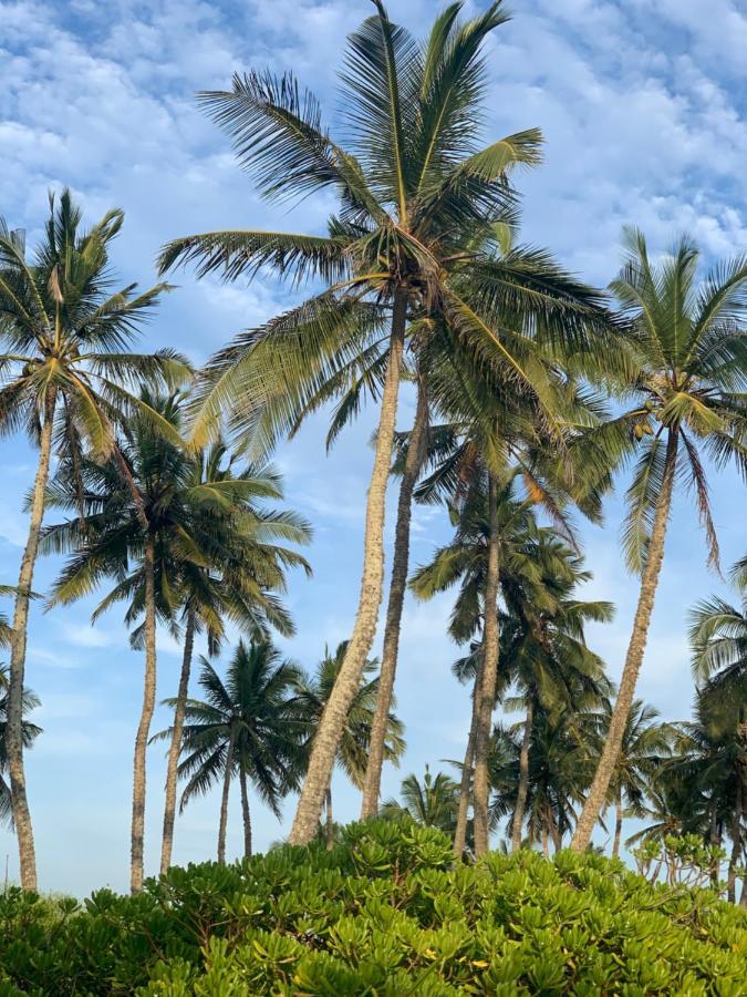 Serein Beach Hotel Tangalle Exterior foto